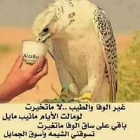 سائق سوري احمل ثلاث رخص من دول الخليج