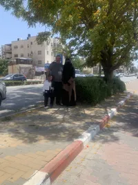 منيه زيتون