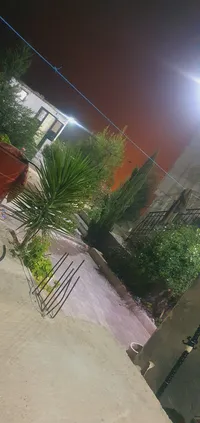 بكر  ابو عقيل 