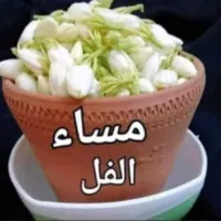 بيجو ‏206 ‏CC ‏2005