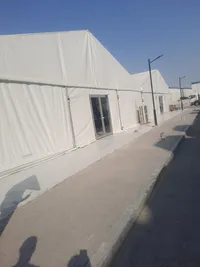 ابراهيم