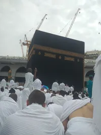 قصي جفال