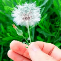 تكنو ‏كامون ‏256 جيجابايت ‏أسود