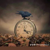 ابو ادم شلباية