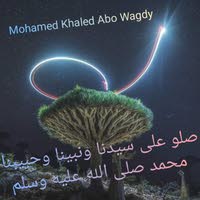 Mohamed Khaled Abo Wagdy
