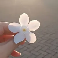 Fadwa Almohtasib