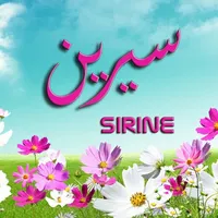 شاومي ‏ريدمي نوت 12 برو  ‏256 جيجابايت ‏أسود