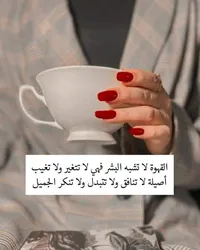 احمد محمد فايز الشلول