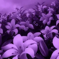 تويوتا ‏راف فور ‏EXR ‏2019