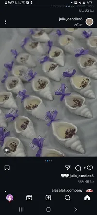 بيان امجد شوشة