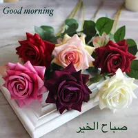 Amal
