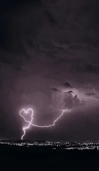 حمزه  صالح