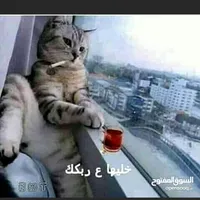 أبو أصيل