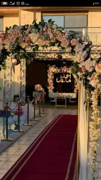اسامه 0786311311 ابو اثير