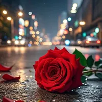 رهف علي