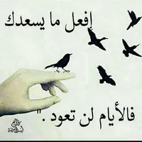 تويوتا ‏4 رونر ‏SR5 Premium ‏2025
