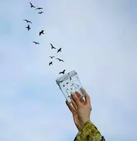 ليث ناصر حسين