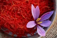 زعفران عالي الجودة