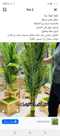 ادهم الاشقر