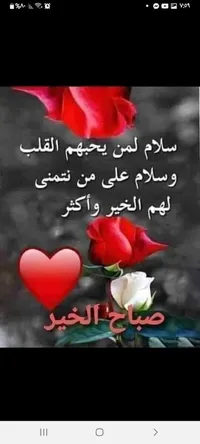 om ali شاهين