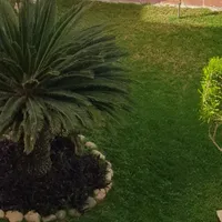 سامسونج ‏جالاكسي S8 ‏64 جيجابايت ‏أسود