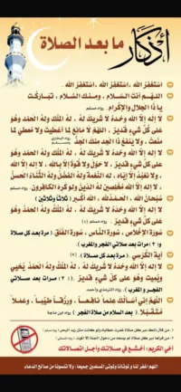 رنا  الاسمر