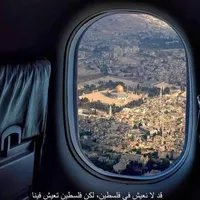 احمد اللوزي