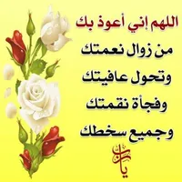 Haval H6 H6 Hev 2025