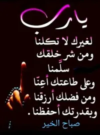 شمسي طويسات