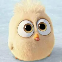 Haia Rasheed