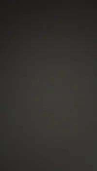 رنيمً السعيدات 