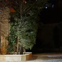 House Cleaning -Amman
