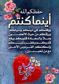 20798 81539 Abu salah