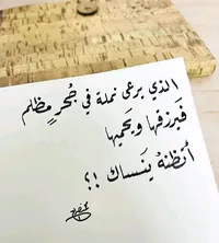 منتصر محمد  حسين