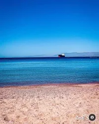 شعلان