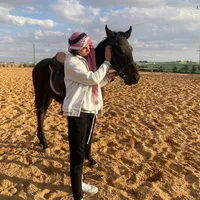 mohammad mashal