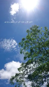 1a1e01fe-37e2-4c89-a837-c4aab639da40