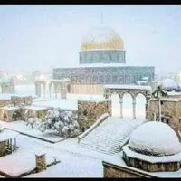 حمزه مرار