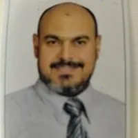 Hamed  Elganzory 