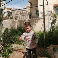 وليد القصراوي