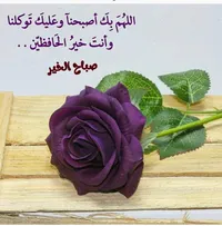 Baker Hosam