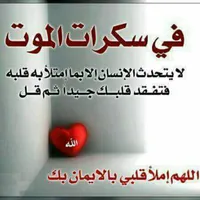 ابو