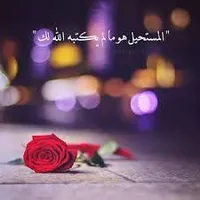 Asal Almasri 