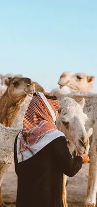محمد الباكير