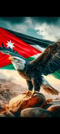 محمد ابو الياس صلاح