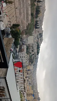 عماد الكردي