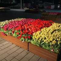 هيونداي ‏سانتا كروز ‏SEL ‏2022