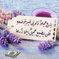 هيونداي ‏النترا ‏SEL ‏2014