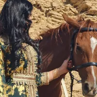 تويوتا ‏لاند كروزر ‏VXR ‏2008