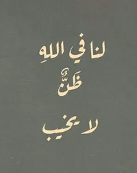 محمد  الشناوي 